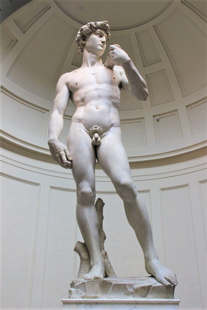 Michelangelo's David