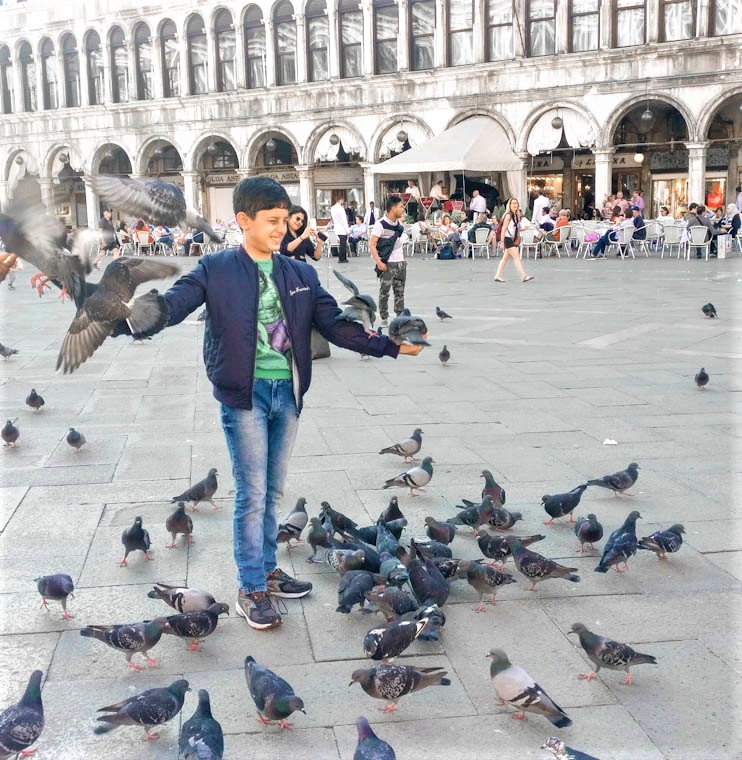 Things To Do In Venice - Pigeon feeding in St Mark's Square