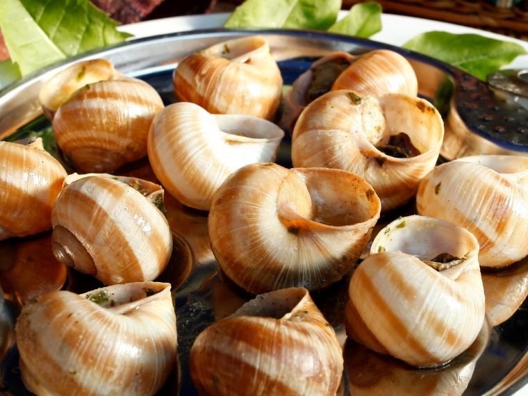 Escargots-What-To-Eat-in-Paris-Must-try-Paris-Food-Paris-food-Bucket-List