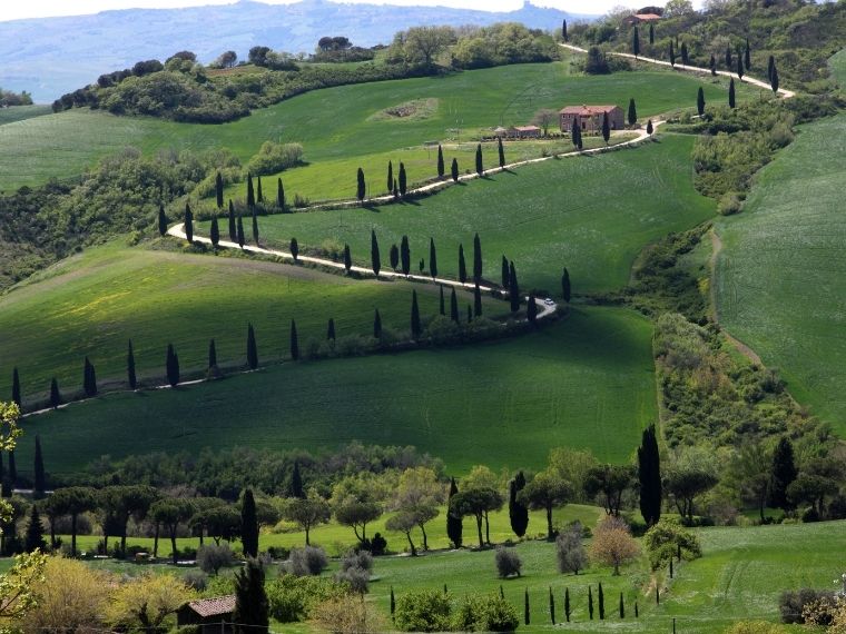 Val d'Orcia - day Trip from Florence